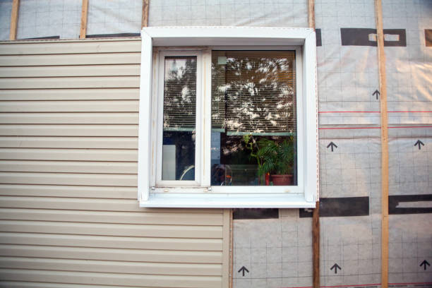 Best Custom Trim and Detailing for Siding  in Chetopa, KS